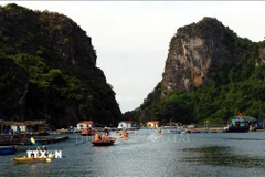 Du khách khám phá làng chài Vung Viêng trên Vịnh Hạ Long. (Ảnh: Đức Hiếu/TTXVN)