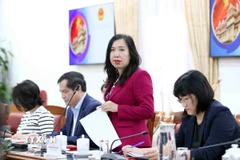 Thứ trưởng Bộ Ngoại giao Lê Thị Thu Hằng, Trưởng Tiểu ban Tuyên truyền và Văn hóa APEC 2027 chủ trì cuộc họp lần 1 của Tiểu ban. (Ảnh: An Đăng/TTXVN)