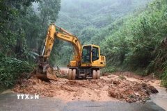 Ảnh minh họa. (Ảnh: Phạm Cường/TTXVN)