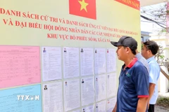 Người dân ở xã Cà Ná theo dõi sát sao danh sách niêm yết ứng cử viên Đại biểu Quốc hội khóa XVI và Đại biểu HĐND các cấp tại tổ bầu cử số 6. (Ảnh: Công Thử/TTXVN)
