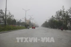 Bắc Ninh chủ động ứng phó khi thiên tai chồng thiên tai. (Ảnh: Văn Tý/TTXVN)
