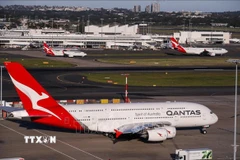 Máy bay của hãng hàng không Qantas. (Ảnh tư liệu: THX/TTXVN)