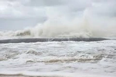 (Ảnh minh họa. TTXVN phát)