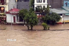 Quốc lộ 18 đoạn qua phường Đông Mai và Vàng Danh (tỉnh Quảng Ninh) bị ngập cục bộ. (Ảnh: TTXVN phát)