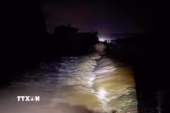 Nước lũ ồ ạt chảy vào cánh đồng khiến 1 phần diện tích hoa màu và diện tích nuôi trồng thủy sản của người dân xã Tống Sơn đã bị ảnh hưởng. (Ảnh: TTXVN phát)