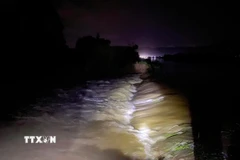 Nước lũ ồ ạt chảy vào cánh đồng khiến 1 phần diện tích hoa màu và diện tích nuôi trồng thủy sản của người dân xã Tống Sơn đã bị ảnh hưởng. (Ảnh: TTXVN phát)