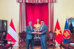 Đại sứ Vũ Lê Thái Hoàng (trái) tiếp Đại sứ Lào Khampheng Douangthongla. (Ảnh: TTXVN phát)