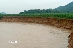 Địa bàn thôn Chu, xã Kiên Thọ, tỉnh Thanh Hóa nơi sông Âm chảy qua bị sạt lở. (Ảnh: Nguyễn Nam/TTXVN)