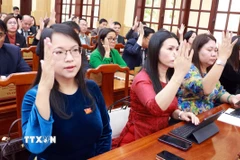 Các đại biểu biểu quyết dừng chủ trương đầu tư dự án Đầu tư xây dựng sân bay Phan Thiết, tỉnh Bình Thuận (cũ). (Ảnh: TTXVN phát)