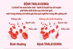 Ngày Thalassemia Thế giới 8/5: Những điều cần biết về bệnh Thalassemia