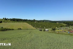 Pháp: Nạn trộm khuấy đảo các vùng nông thôn yên bình 