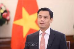 Thứ trưởng Bộ Ngoại giao Đặng Hoàng Giang. (Ảnh: An Đăng/TTXVN)