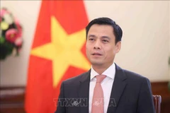 Thứ trưởng Bộ Ngoại giao Đặng Hoàng Giang. (Ảnh tư liệu: An Đăng/TTXVN)