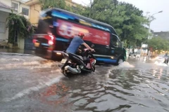 Ảnh minh họa. (Ảnh: Sơn Hải/TTXVN)