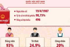 Kết quả bầu cử đại biểu Quốc hội khóa VIII