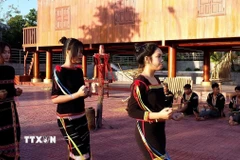 Người Ê Đê (tỉnh Đắk Lắk) biểu diễn các điệu múa của dân tộc mình. (Ảnh: Tường Quân/TTXVN)