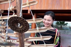 Đồng bào người Ê Đê tại xã Sông Hinh (tỉnh Đắk Lắk) biểu diễn nhạc cụ dân tộc mình. (Ảnh: Tường Quân/TTXVN)