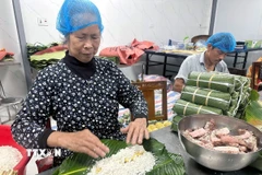 Những ngày giáp Tết, không khí tại các cơ sở làm bánh chưng ở Cát Trù, xã Hùng Việt, luôn tất bật, rộn ràng từ sáng sớm đến khuya. (Ảnh: Tạ Toàn/TTXVN)