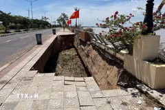 Đồng Tháp: Tiếp tục sụp lún, sạt lở kè Thường Thới Tiền 