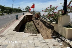 Đồng Tháp: Tiếp tục sụp lún, sạt lở kè Thường Thới Tiền 