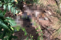 Hiện trường vụ án.