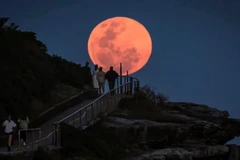 Siêu trăng chụp tại thành phố Sydney, Úc tháng 10/2024. (Ảnh: AFP)