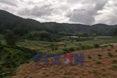 Người dân Lâm Đồng thiệt hại kép do mưa lũ