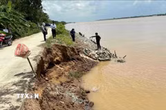 Đoạn sạt lở bờ sông Bang Tra, khu vực ấp Rạch Vọp, xã Quới Thiện. (Ảnh: Phúc Sơn/TTXVN)