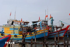 Tàu khai thác cá cơm của ngư dân vùng ven biển Thành phố Hồ Chí Minh không thể ra khơi vì giấy phép khai thác mới. (Ảnh: Hoàng Nhị/TTXVN).