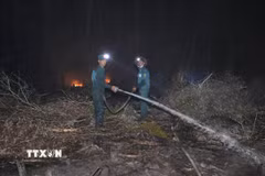 Cán bộ, chiến sỹ phối hợp dập lửa, khoanh vùng đám cháy để ngăn lan rộng. (Ảnh: TTXVN phát)