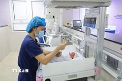 Hai bé song sinh được các y bác sĩ Bệnh viện Sản Nhi tỉnh Phú Thọ theo dõi, chăm sóc. (Ảnh: TTXVN phát)