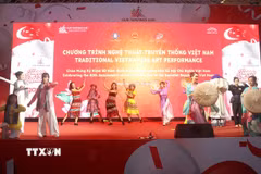 Một tiết mục đặc sắc tại Chương trình biểu diễn nghệ thuật truyền thống Việt Nam tại Singapore. (Ảnh: Tất Đạt/TTXVN)