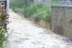 Vụ cháy gây thiệt hại nhiều căn nhà và tài sản người dân. (Ảnh: TTXVN phát)