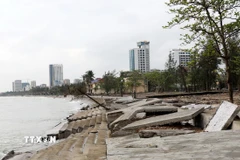 Bờ kè được đầu tư hơn 160 tỷ đồng tan hoang sau bão số 10 (tháng 9/2025). (Ảnh: Văn Tý/TTXVN)