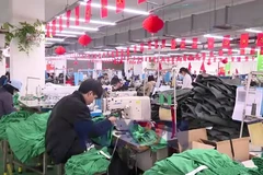 Nhộn nhịp khí thế sản xuất đầu năm