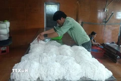 Mẻ bún "tươi" Vân Cù. (Ảnh: Kha Phạm/TTXVN)