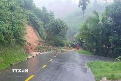 Trên Quốc lộ 40 B, tại khu vực đèo Liêu, mưa lũ đã khiến đất đá và cây cối ở phía ta-luy dương bị sạt lở và ngã đổ xuống mặt đường, khiến giao thông từ đồng bằng lên các xã miền núi gặp nhiều khó khăn. (Ảnh: Đoàn Hữu Trung/TTXVN)