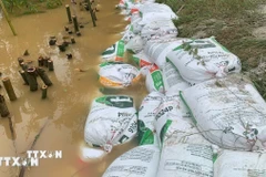 Sạt lở bờ sông Vĩnh Định tại xã Vĩnh Định diễn biến phức tạp. (Ảnh: TTXVN phát)