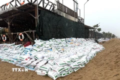 Người dân ven biển phường Tuy Hòa hoàn thành việc chèn chống nhà cửa, cơ sở sản xuất, kinh doanh. (Ảnh: Tường Quân/TTXVN)