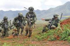 Binh sỹ Singapore trong một buổi tập trận. (Nguồn: hawaiiarmyweekly.com)