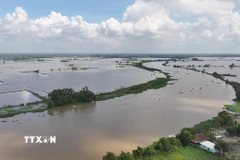 Nước sông Vàm Cỏ Đông (đoạn chảy qua địa phận xã Thạnh Đức, tỉnh Tây Ninh) dâng cao, gây ngập nhiều diện tích đất nông nghiệp của người dân. (Ảnh: Thanh Tân/TTXVN)