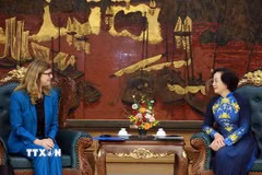 Phó Thủ tướng Phạm Thị Thanh Trà tiếp bà Silvia Danailov, Trưởng đại diện Quỹ Nhi đồng Liên hợp quốc tại Việt Nam. (Ảnh: Tuấn Anh/TTXVN)