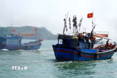 Các tàu cá đồng loạt rẽ sóng ra khơi sau lễ ra quân. (Ảnh: Lê Phước Ngọc/TTXVN)