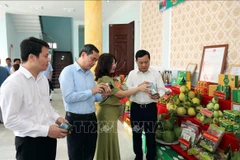 Các đại biểu tham quan gian hàng OCOP của Tuyên Quang. (Ảnh: Hoàng Hải/TTXVN)