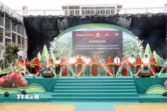 Đại biểu cắt băng khởi hành đưa mận hậu Sơn La lên các chuyến bay của Vietnam Airlines và vào hệ thống phân phối WinCommerce, Saigon Co.op và GO!. (Ảnh: Quang Quyết/TTXVN)