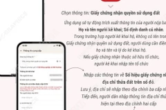 Hướng dẫn nộp Giấy chứng nhận quyền sử dụng đất trên VNeID