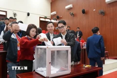 Khách hàng bỏ phiếu các lô đất tại phiên đấu giá. (Ảnh: Minh Nghĩa/TTXVN)