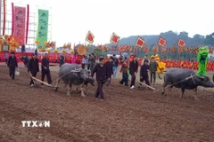 Các đại biểu thực hiện những sá cày tại lễ hội. (Ảnh: Thanh Tuấn/TTXVN)