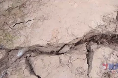 Cần Thơ: Khắc phục xong đoạn đê bị vỡ ở Cồn Sơn