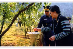Hoàng Thái hậu Sirikit tham gia một hoạt động trồng rừng. (Nguồn: PRD Thái Lan)